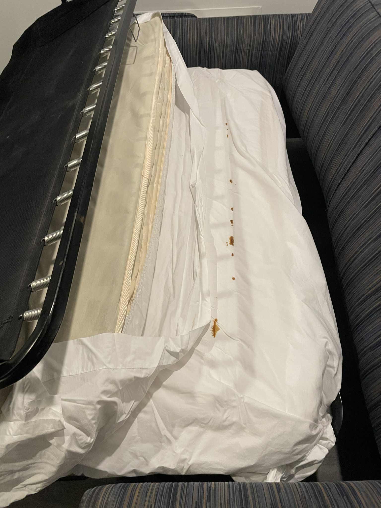 The stained sheet on the foldout couch. 