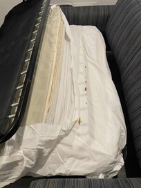 The stained sheet on the foldout couch.