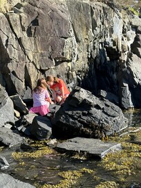 Kids looking for snails on the rock beach.
