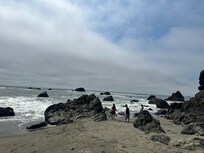 Beach Adventures