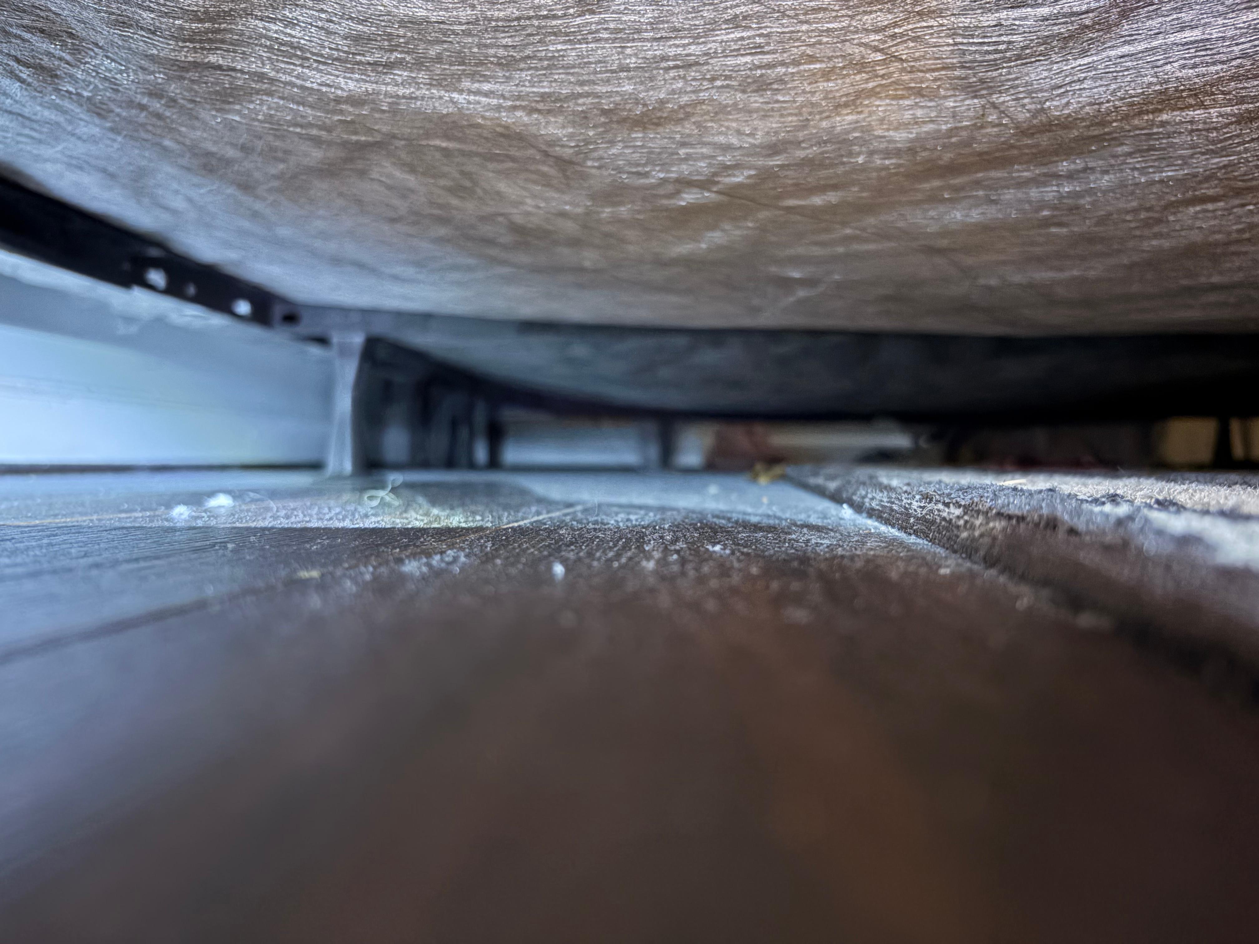Disgusting filth under bed.