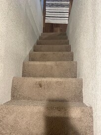 Stairs stained