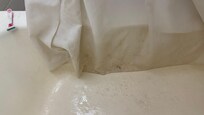 Black mold on the shower curtains