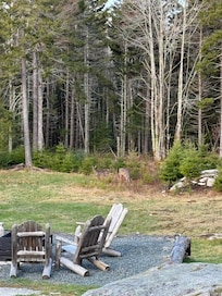 Get up early and watch the does comes in through the back yard