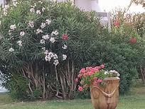 Parc face Ă la Terrasse
