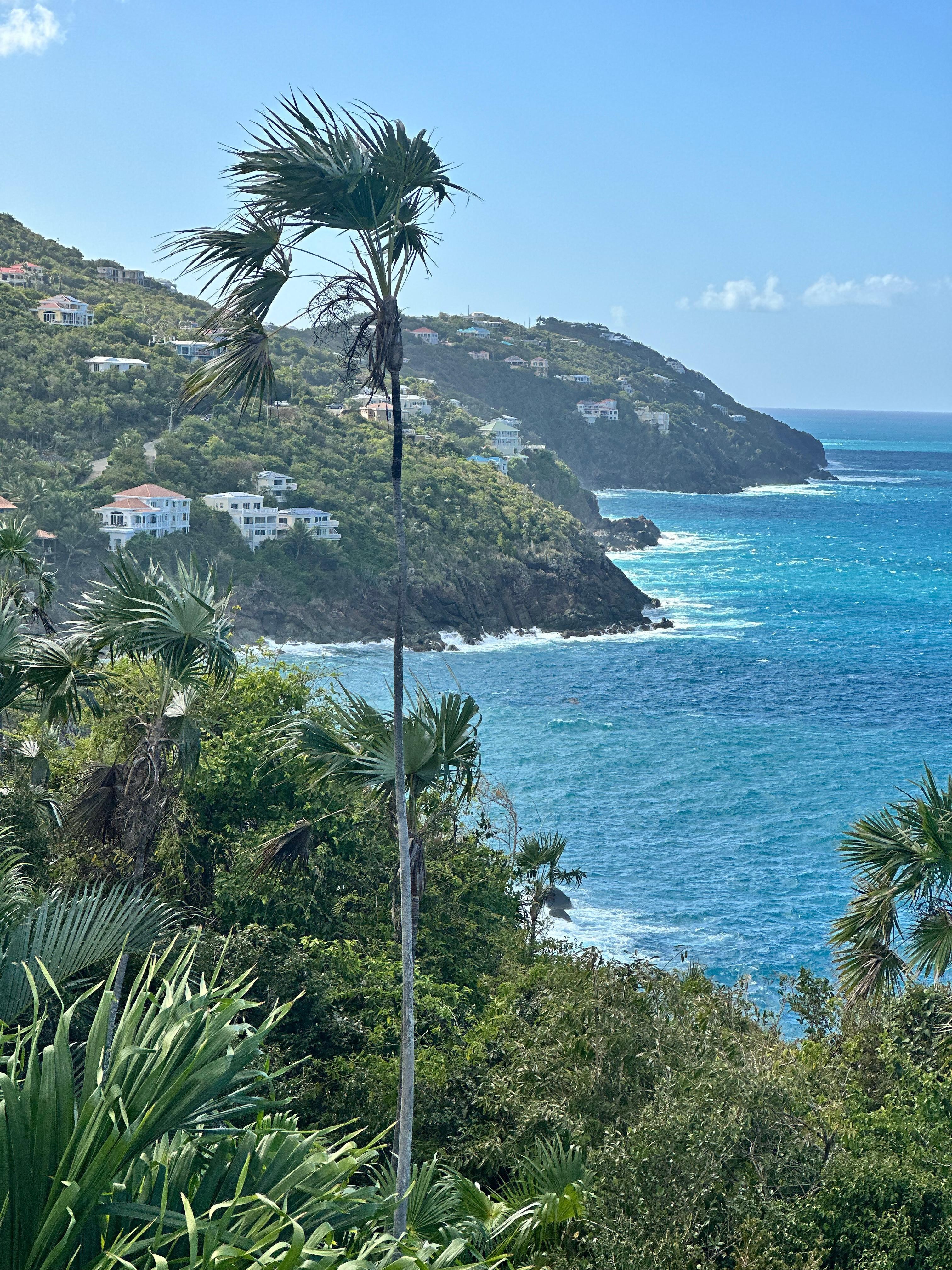 View of coast from the house.