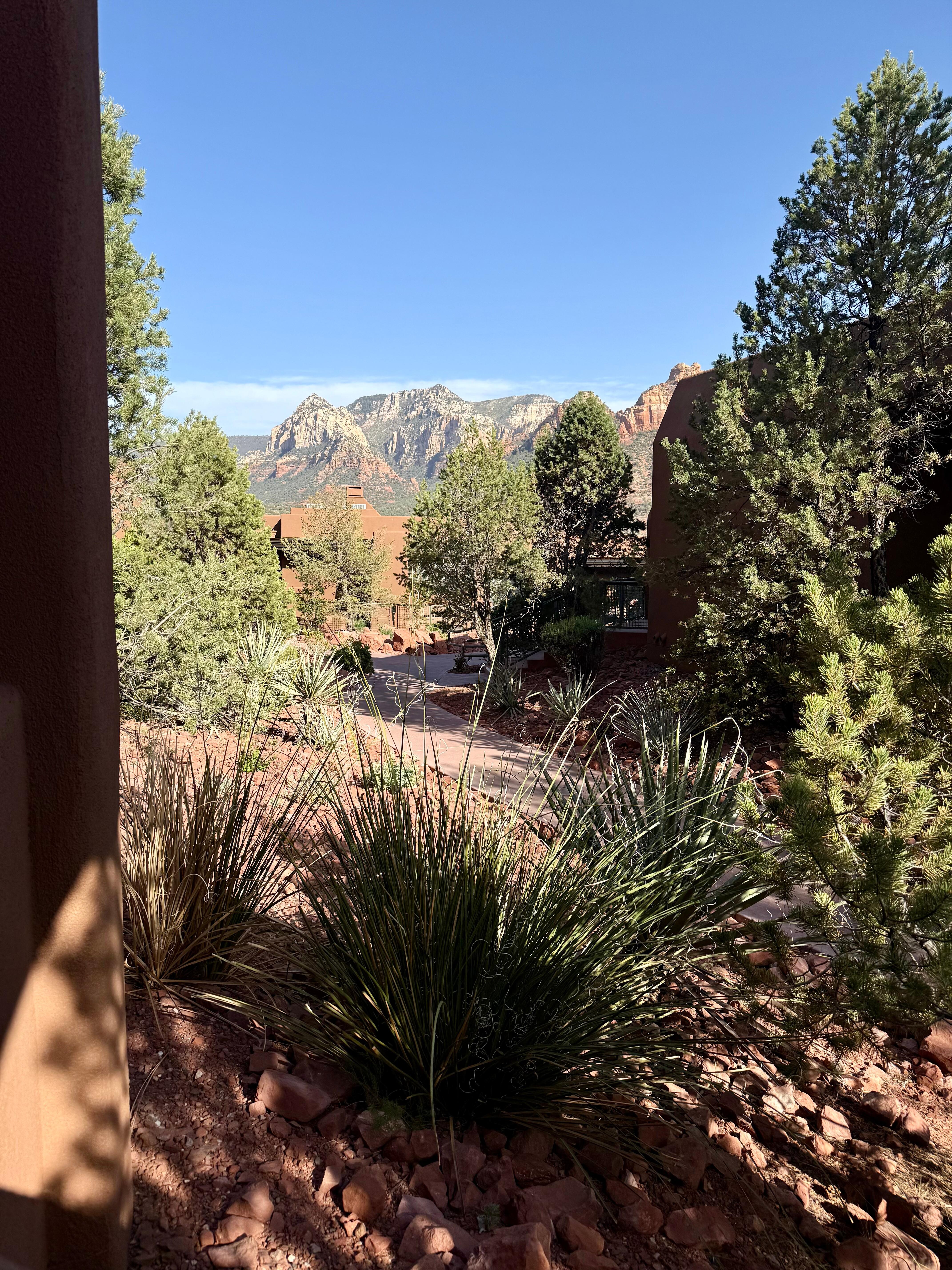 The view from our patio. 