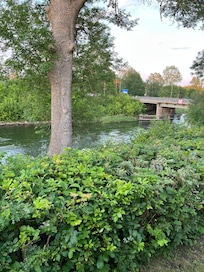 Jättemysigt vid väddö kamal