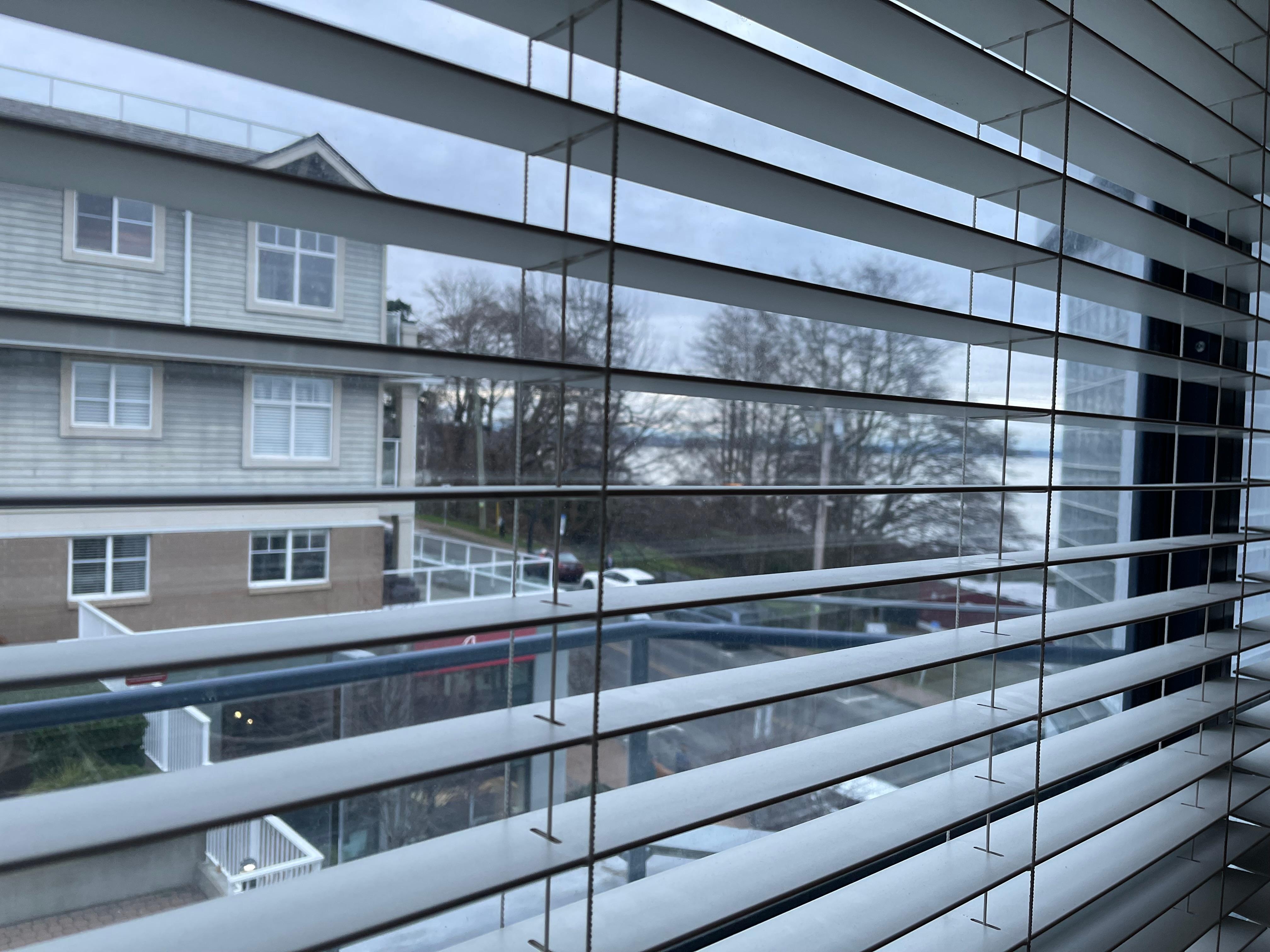 The view from the windows.