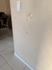 Wall damage