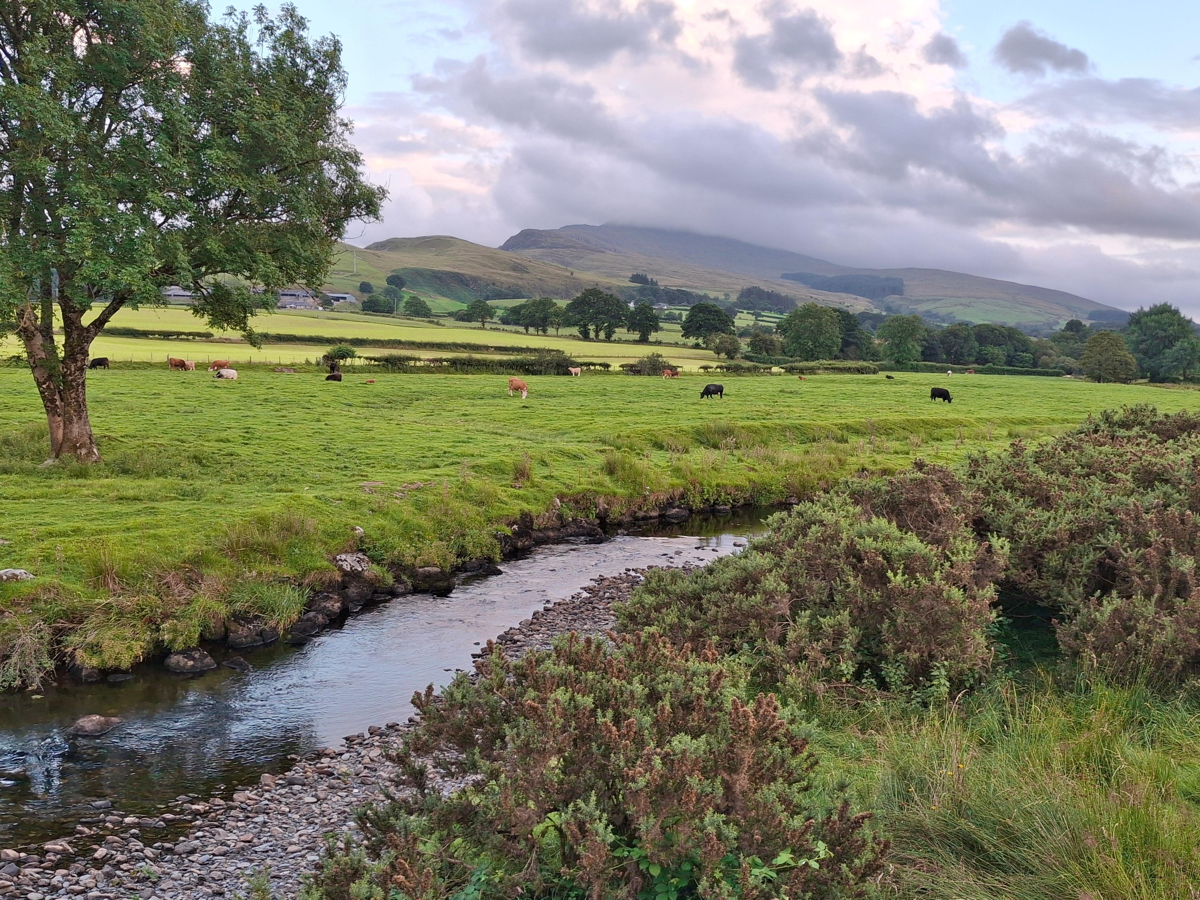 Countryside around the cottage