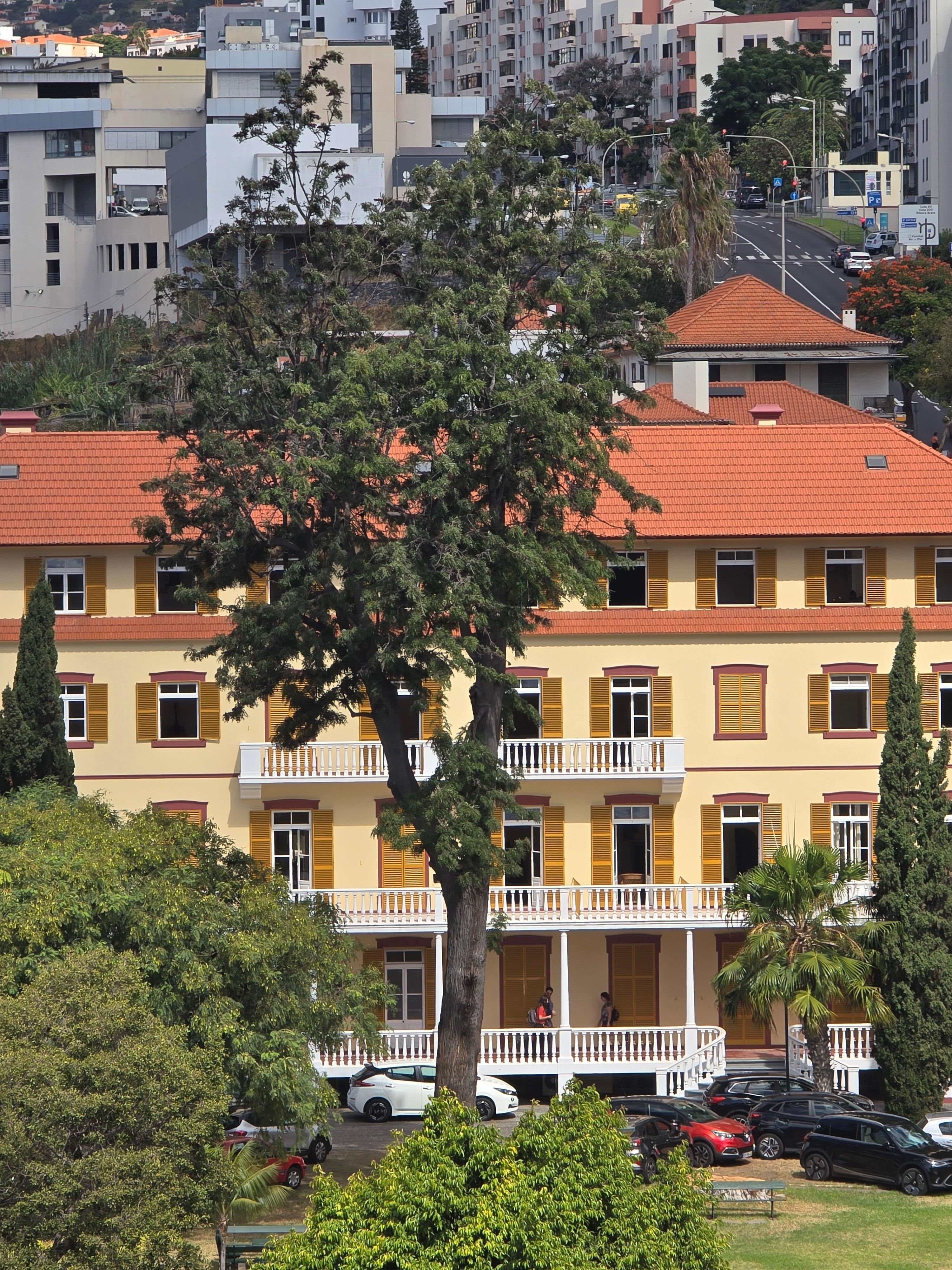 Utsikt från hotellet