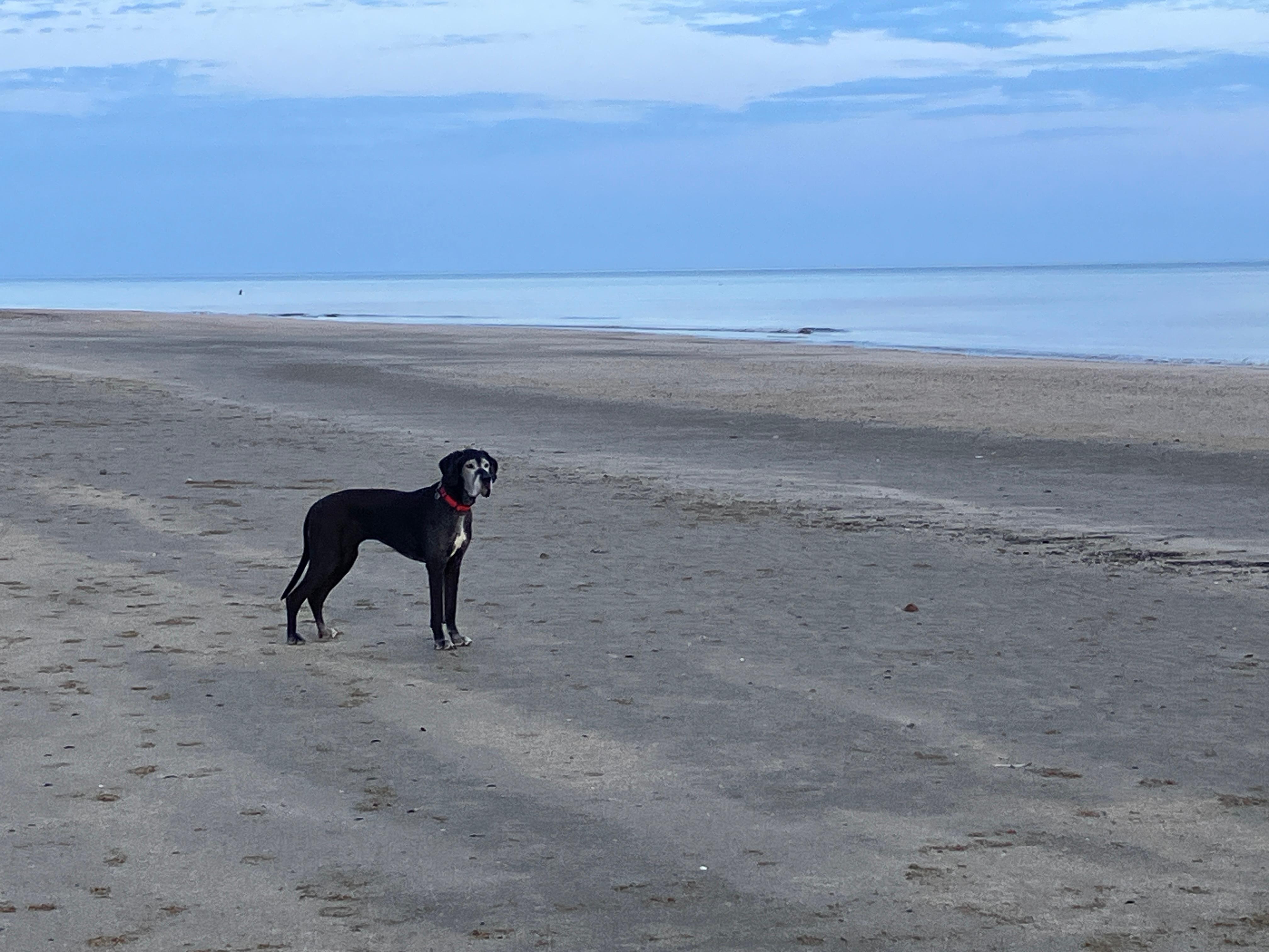 La Plage par marée basse.