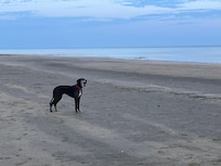 La Plage par marée basse.