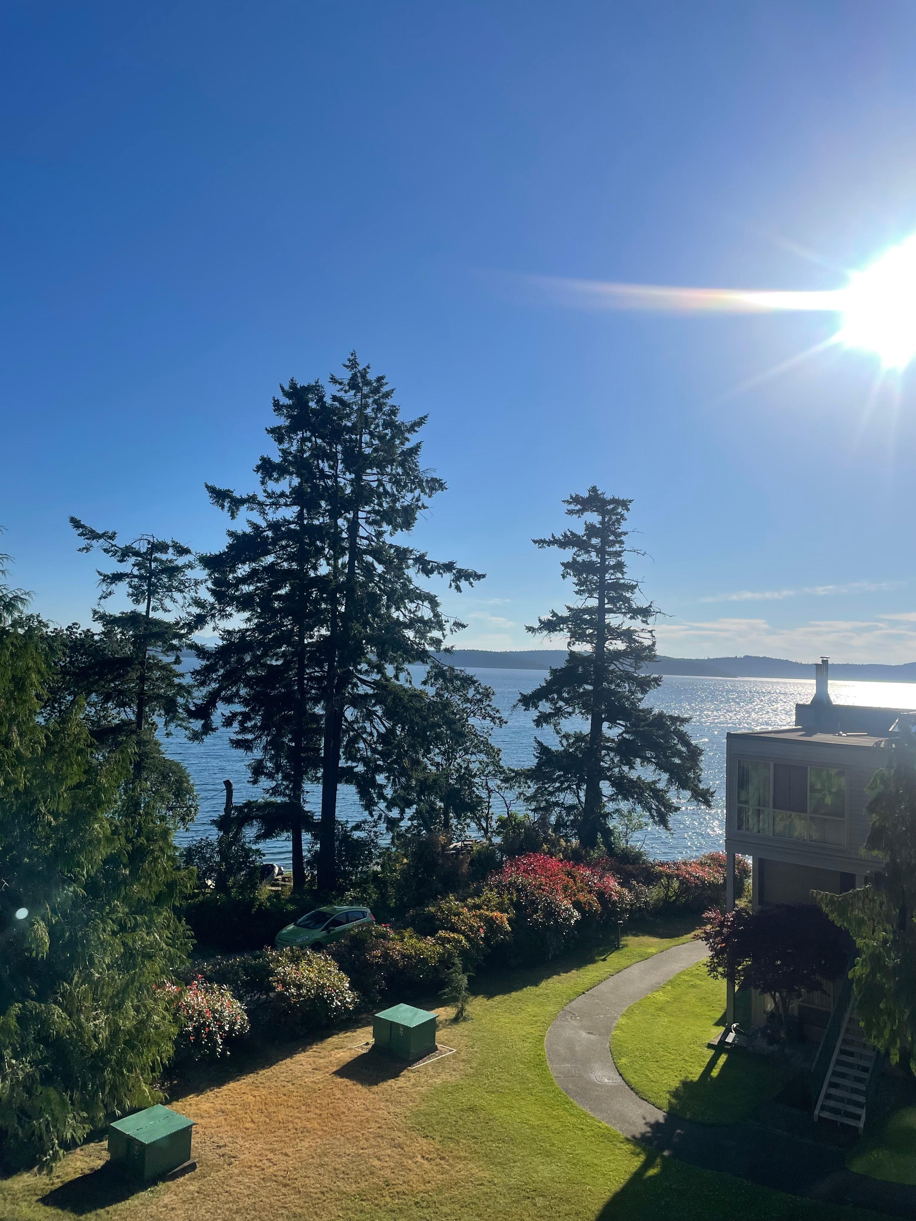 Here is the gorgeous view from the deck. 