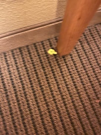 Trash left in the roo