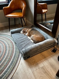 Bernard approves of the accommodations