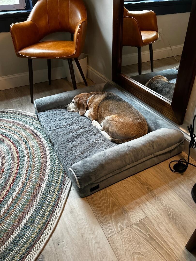 Bernard approves of the accommodations