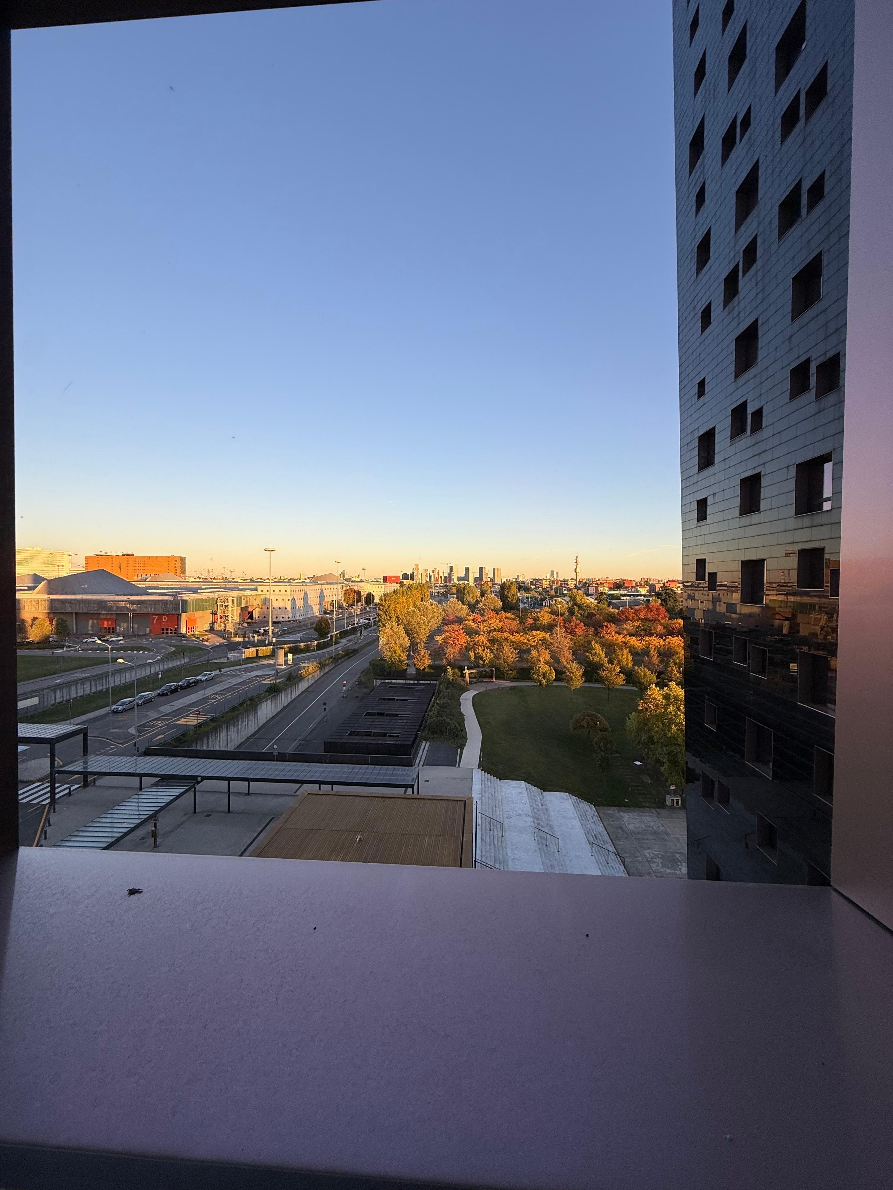 Desde mi habitación 