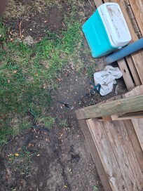Random yard junk