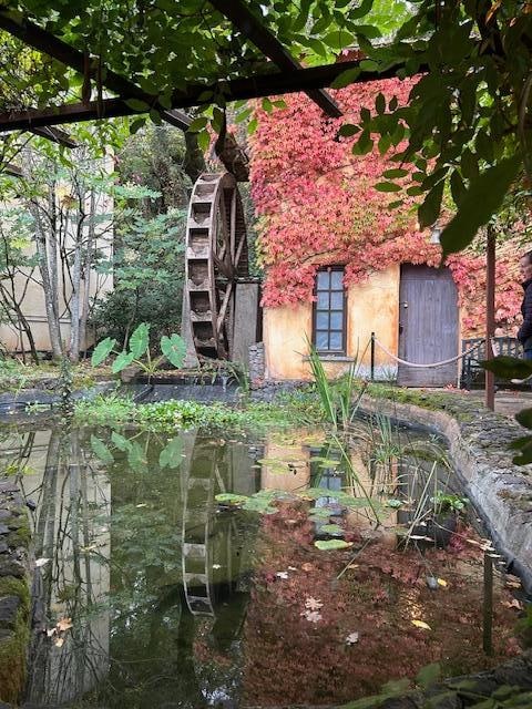 Just on the pathway!