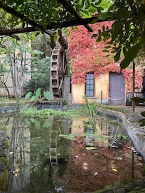 Just on the pathway!