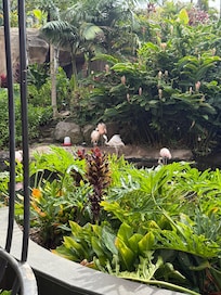 Beautiful water features and waterfalls around the pools.