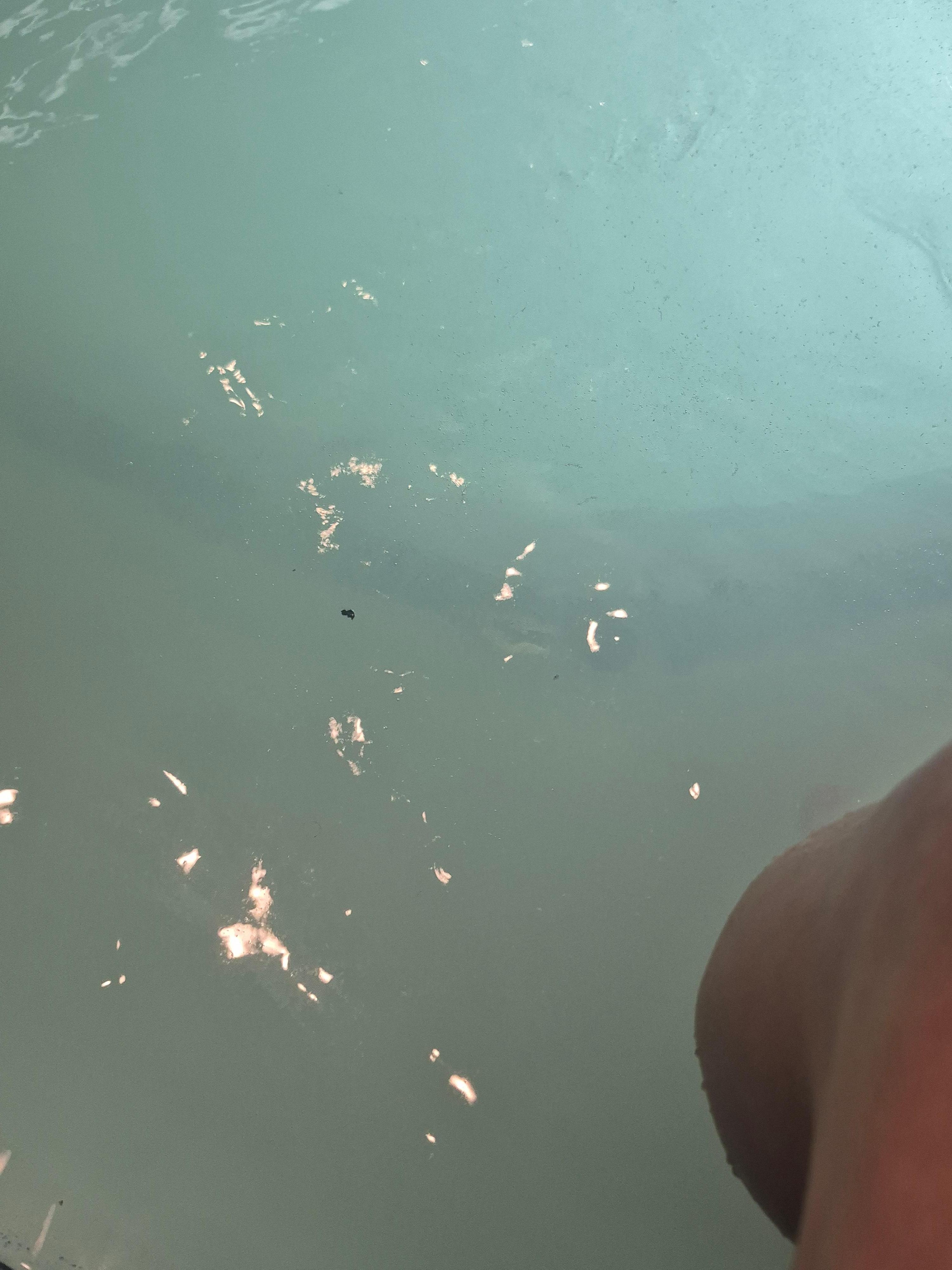 Only picture I took, black stuff floating in hot tub. 