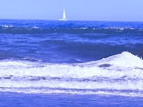Watching the sailboats go by âŠ