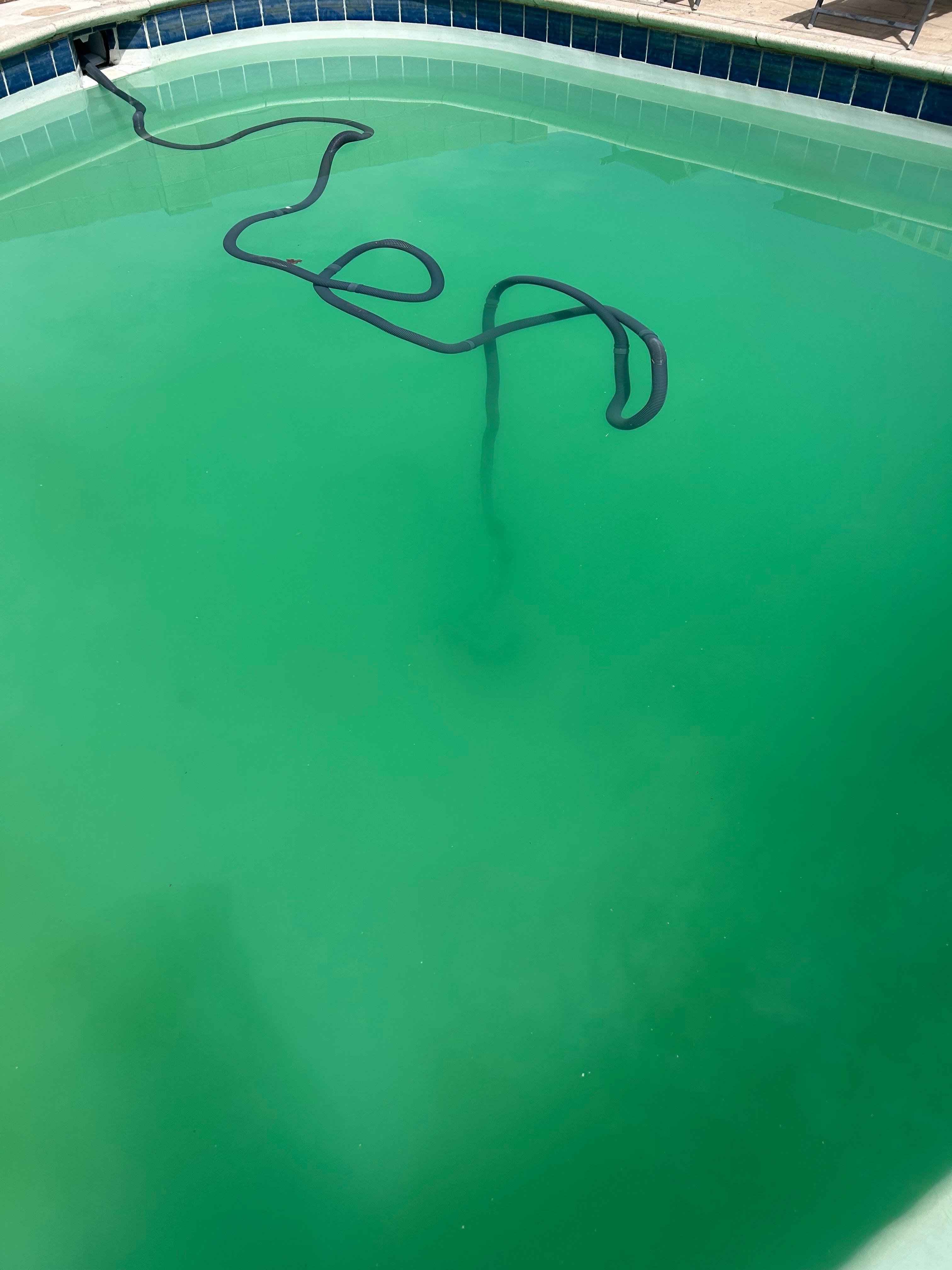 Sunday when Pool was "fixed and ready to use"