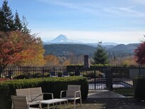 View from the kitchen out the back of the property. Beautiful!