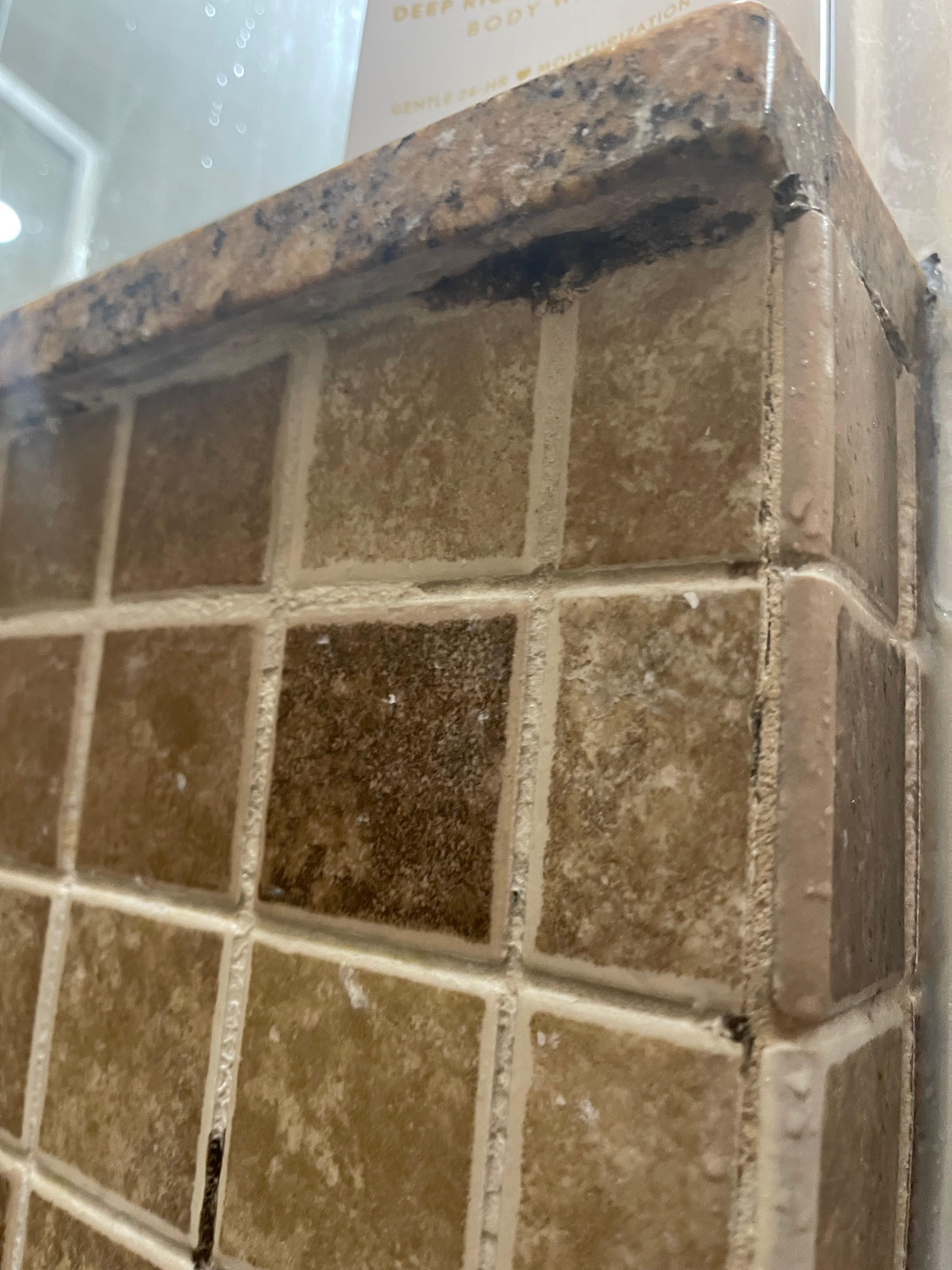 Mold in the shower?