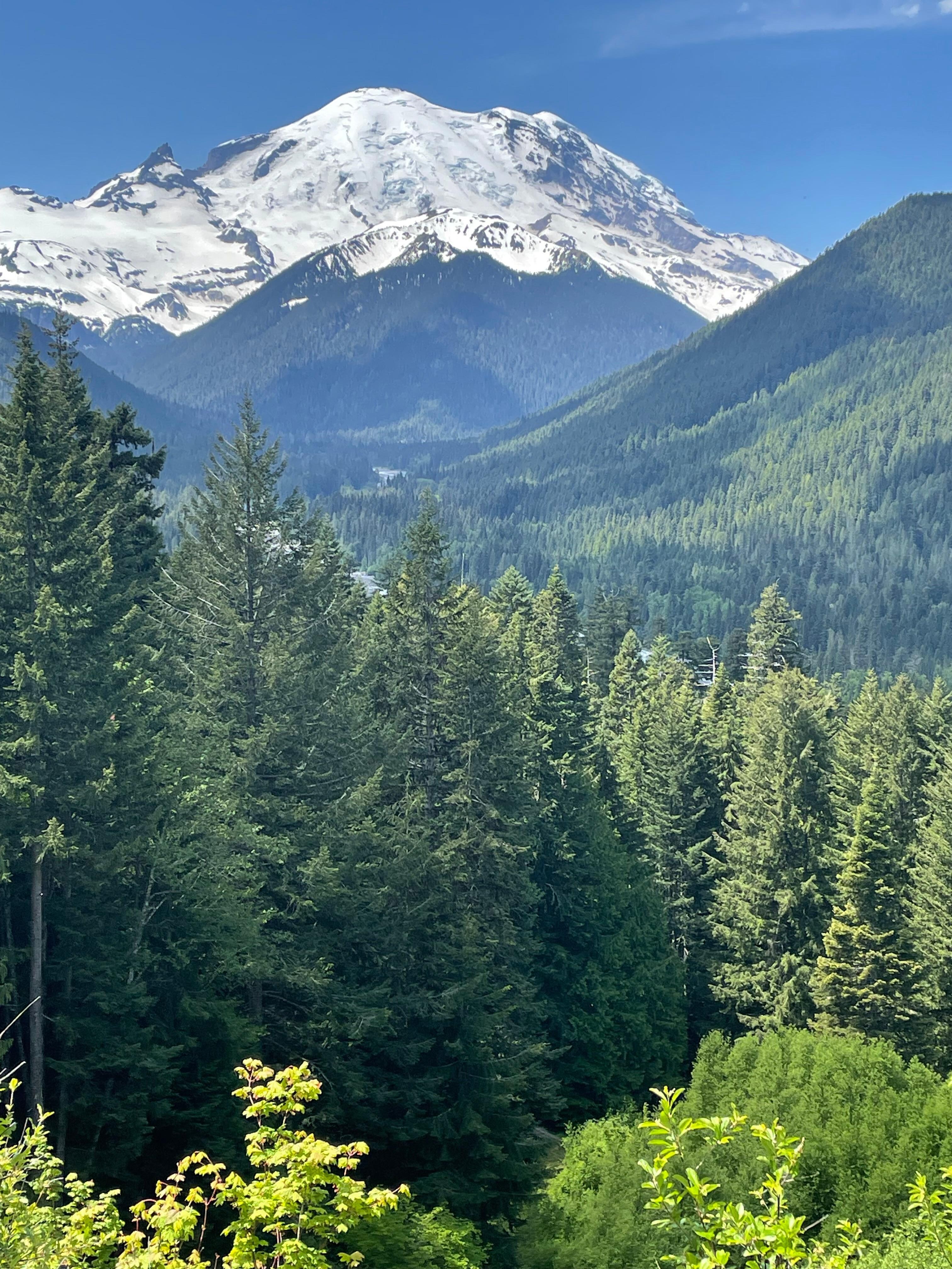 Mt. Ranier