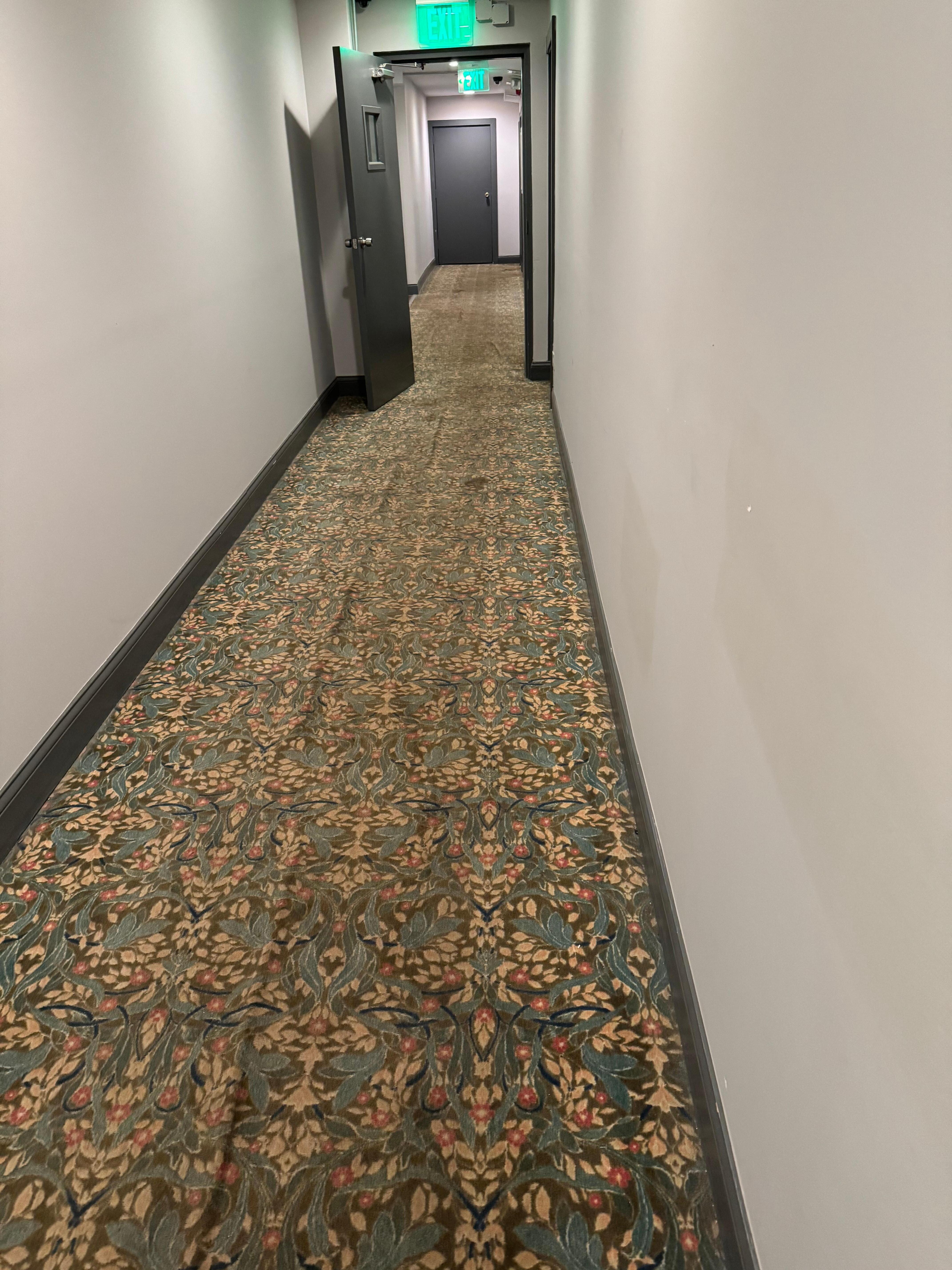 Dirty carpets