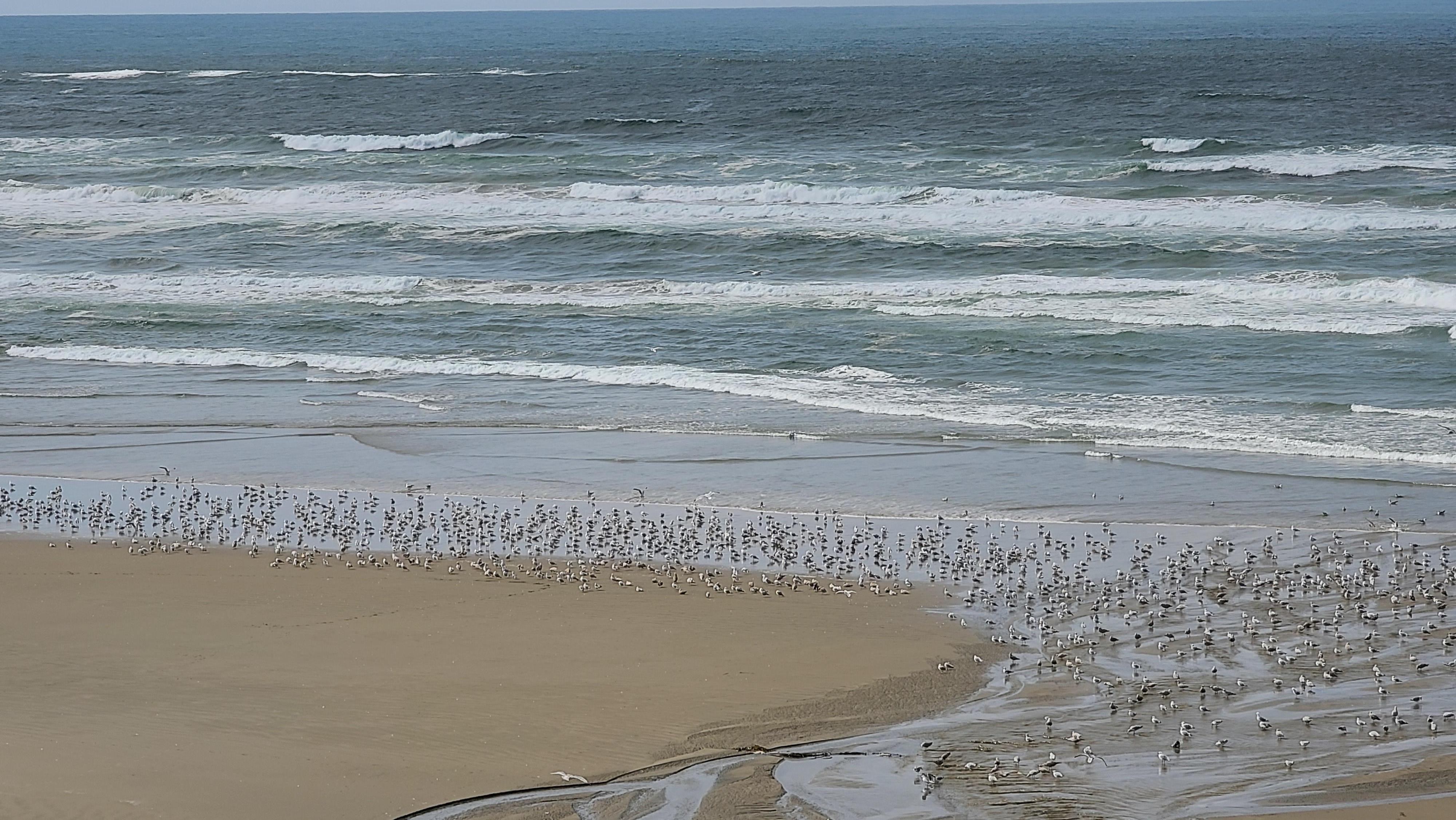 View from top 'o Nye!