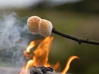 Marshmallow-Grillen im Garten