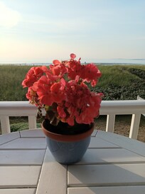 Balcony table