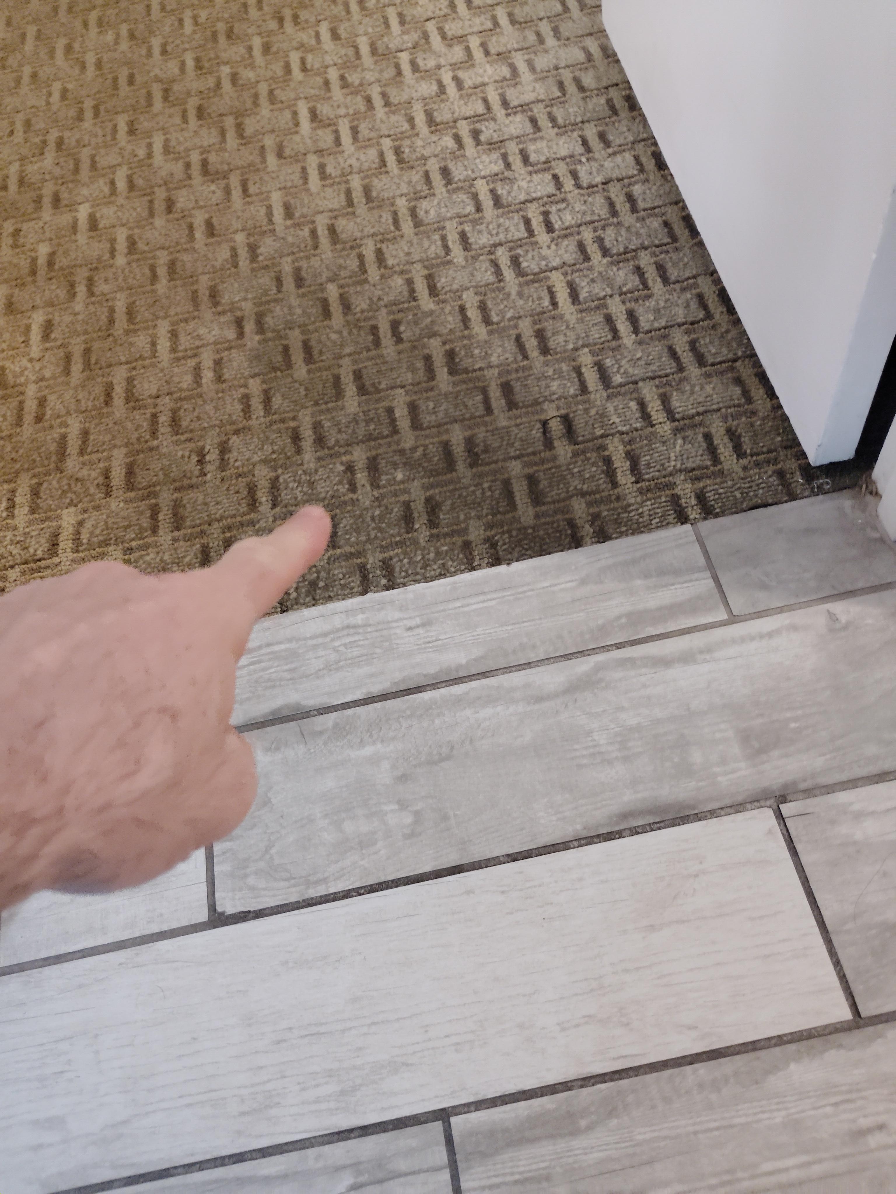 Smelly puddle in bedroom 