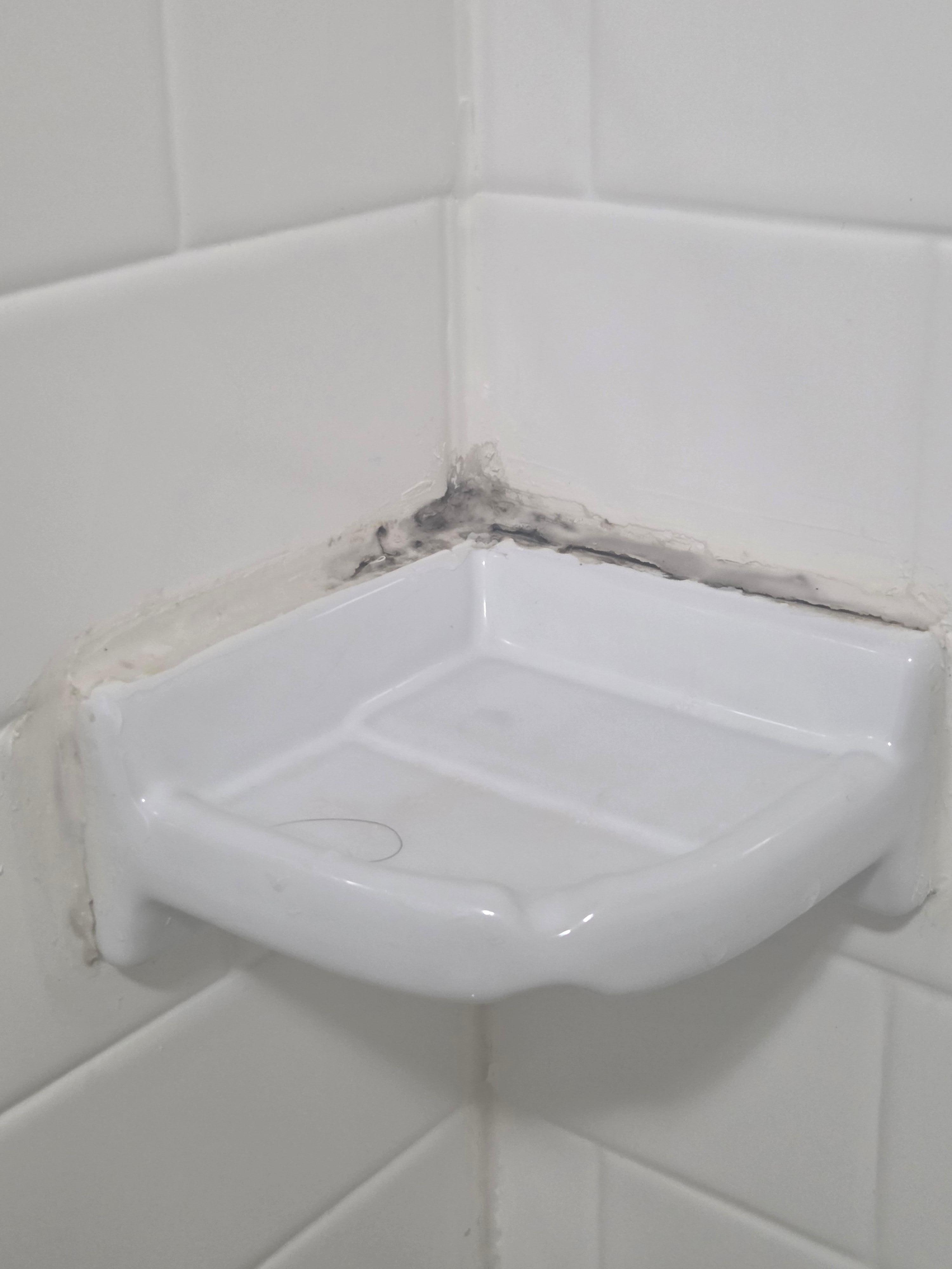 Mold / mildew in bathtub