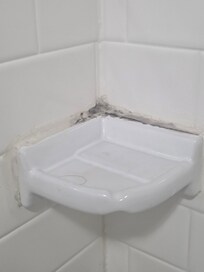 Mold / mildew in bathtub