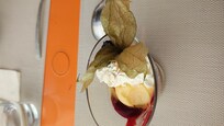 Sorbet
