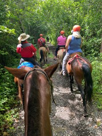 Trail rides