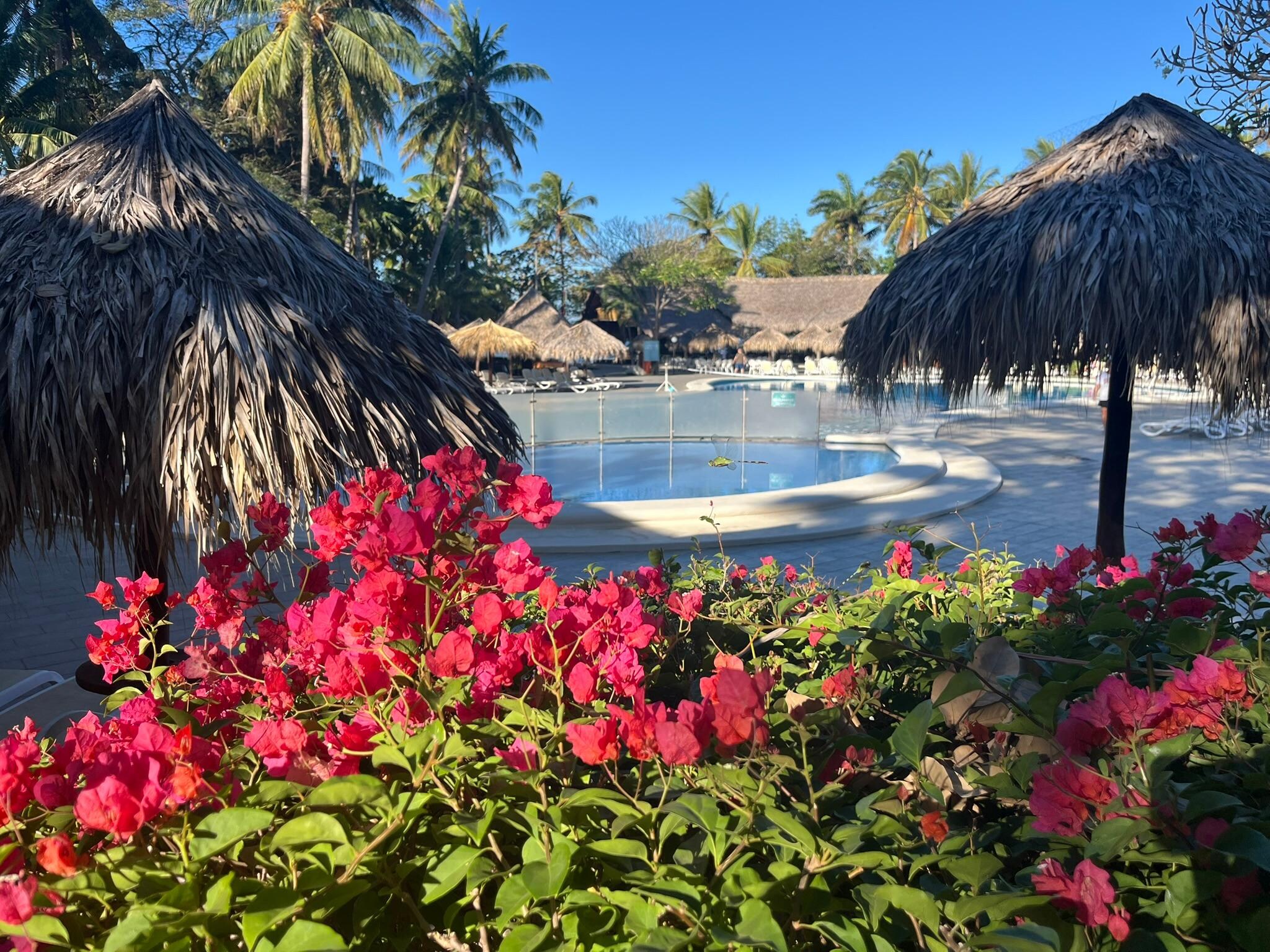 Our walk to the pool