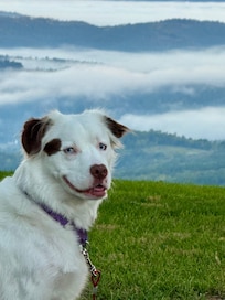 Ava likes the view too