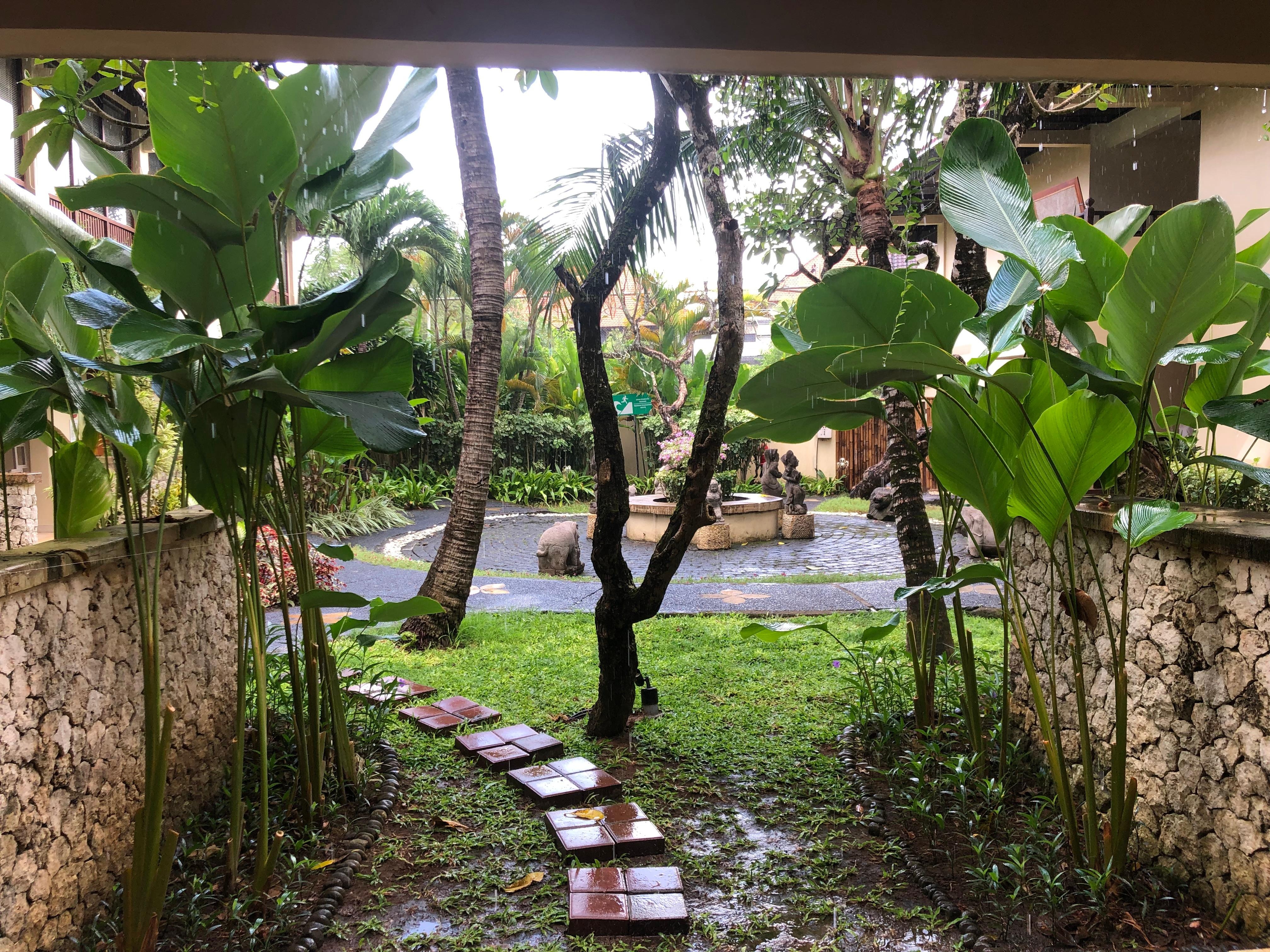 My little patio view