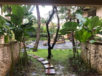 My little patio view