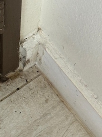 sans commentaire telle ment c'est sale