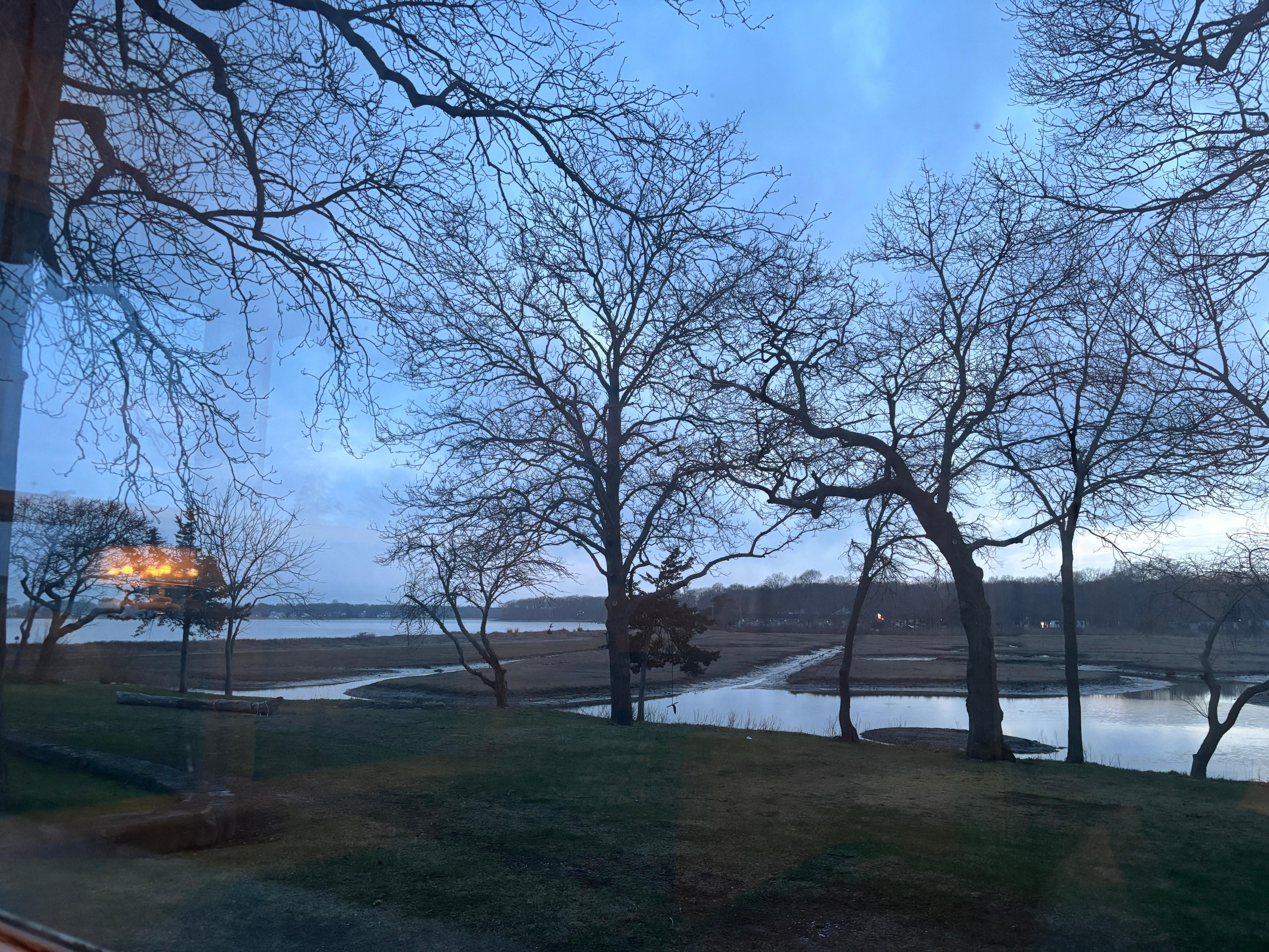 View outside our bedroom window. 