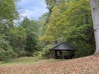 Shelter near the cabin
