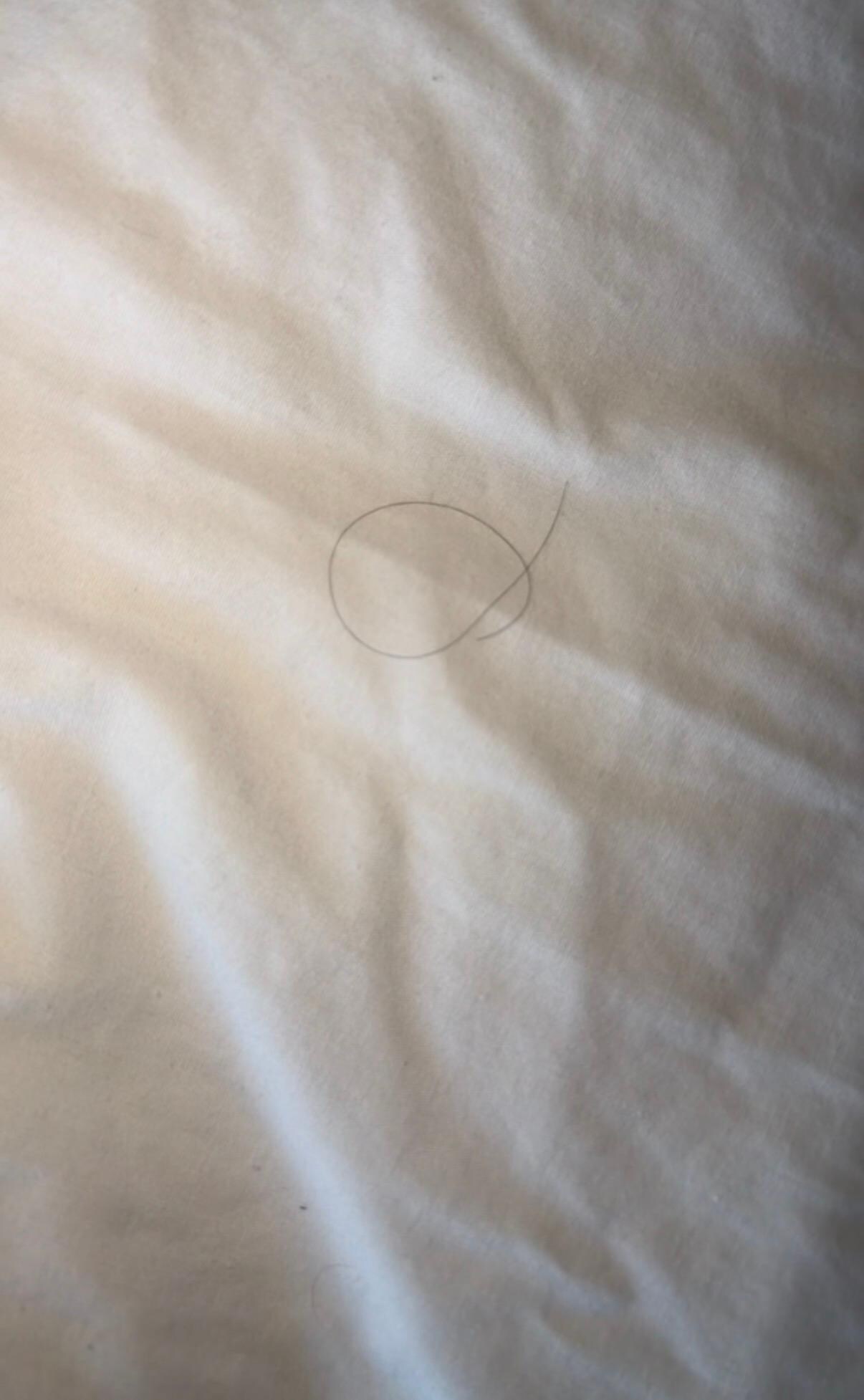 Hair in our bed!